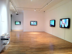 view of the show1