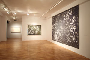 view of the show1