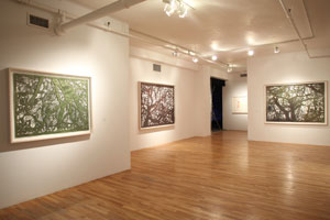 view of the show1