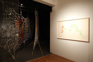 view of the show1