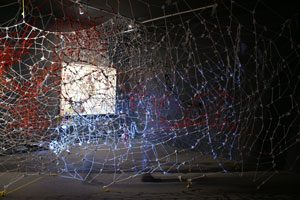 view of the show1