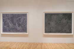 View of the show