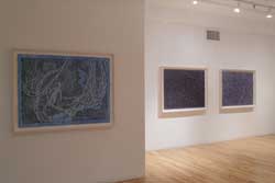 View of the show