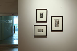view of the show1