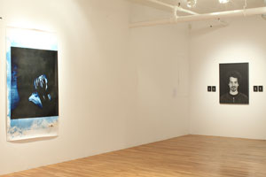view of the show1