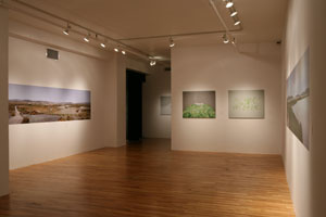 view of the show1