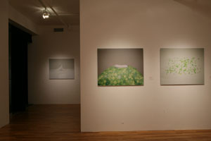 view of the show1