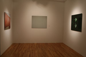 view of the show1
