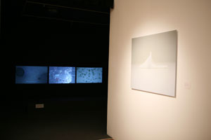 view of the show1