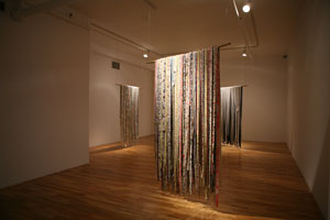 view of the show1