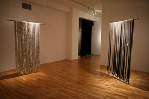 view of the show1