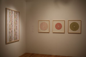 view of the show1