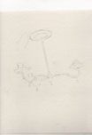 Brasschandelier