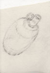 BrownGlassJug