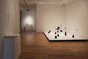 view of the show1