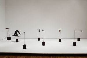 view of the show1