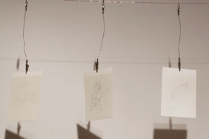 view of the show1