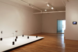 view of the show1