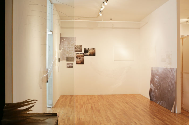 View of the show