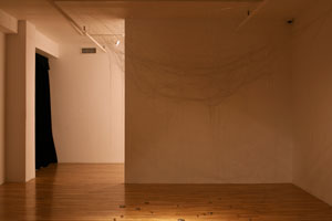 view of the show1