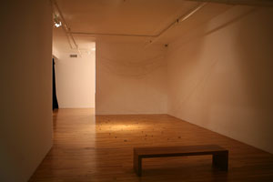 view of the show1