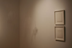 view of the show1