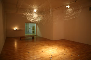 view of the show1