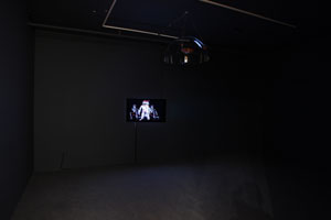 view of the show1