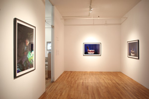 view of the show1