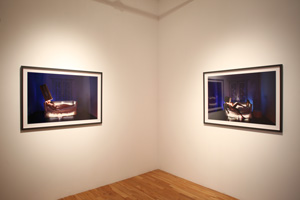 view of the show1