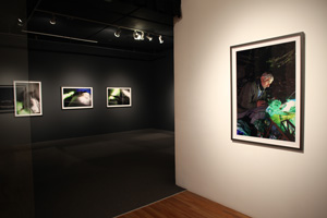 view of the show1