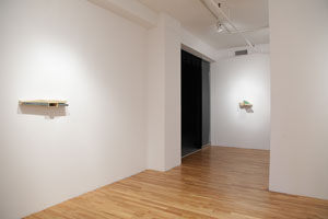 view of the show1