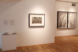 view of the show1