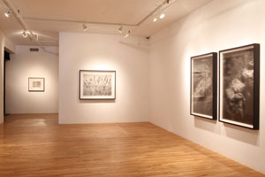 view of the show1