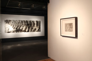 view of the show1