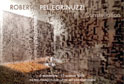 Roberto Pellegrinuzzi