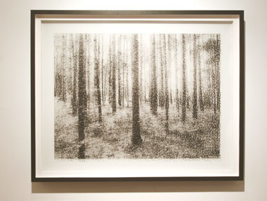 Foret