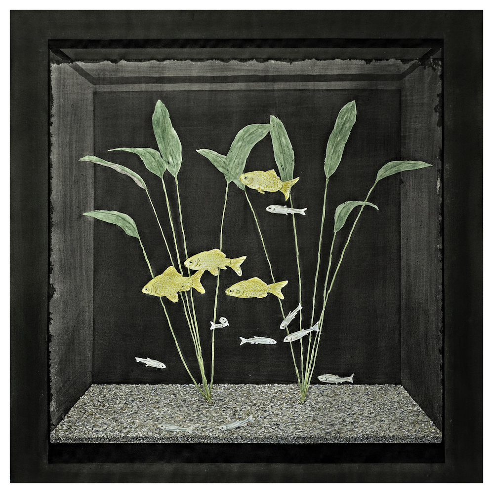 Aquariums