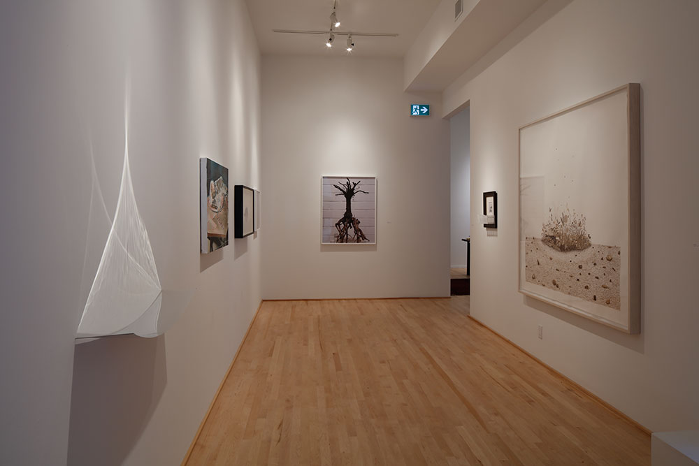 View of the show